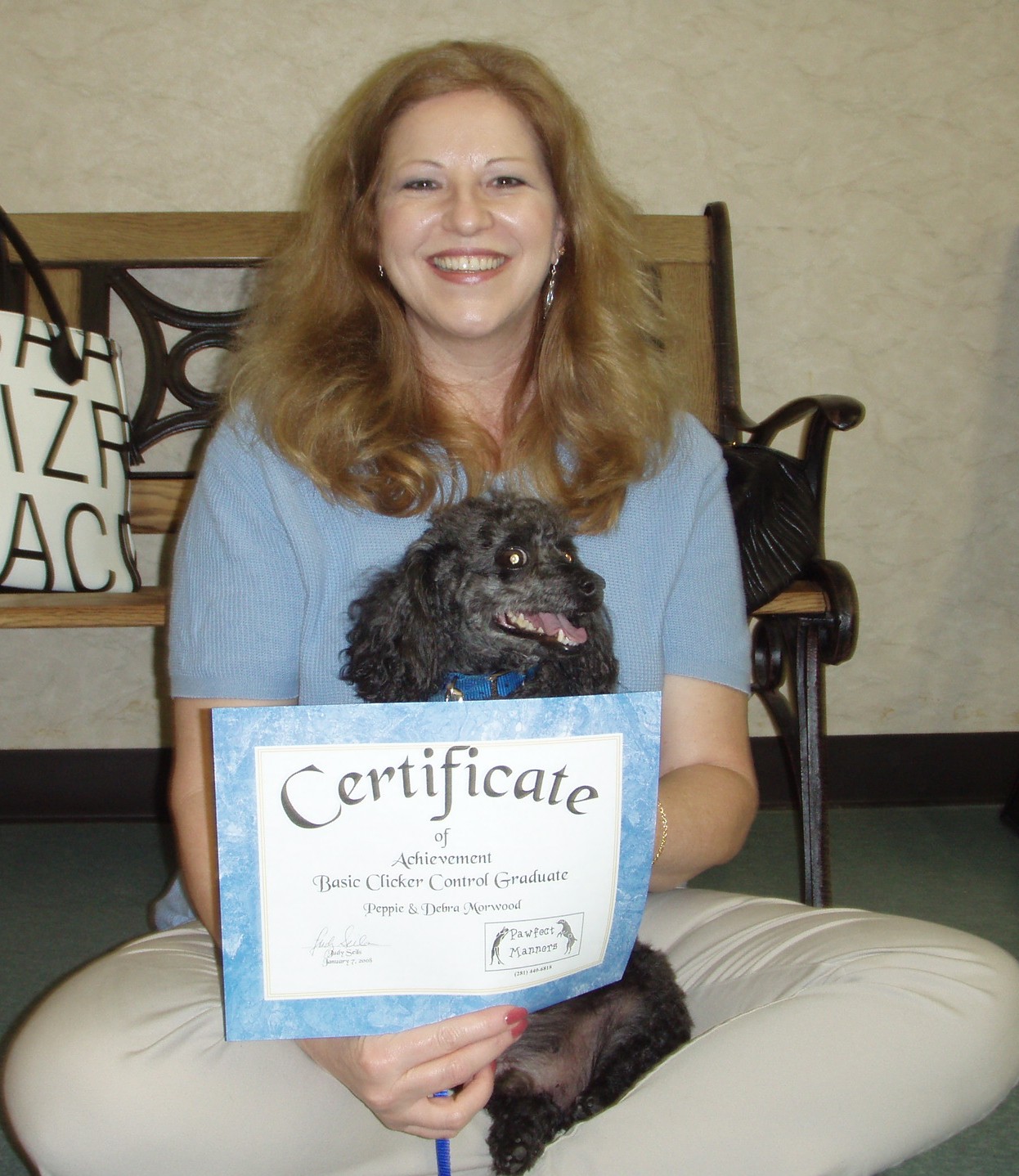 Peppie's Graduation - Therapy dog - Miniature Poodle